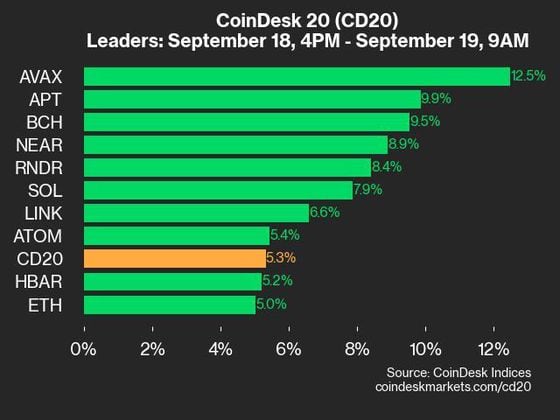 9am CoinDesk 20 Update for 2024-09-19: leaders