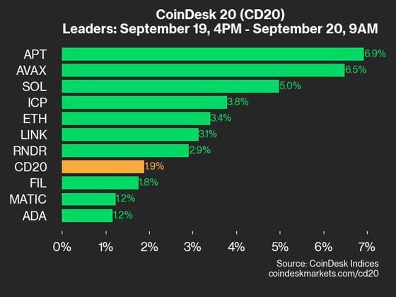 9am CoinDesk 20 Update for 2024-09-20: leaders