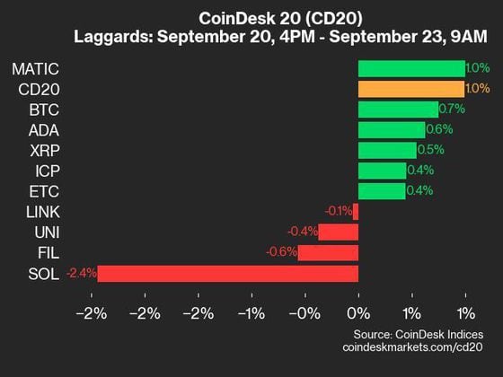 9am CoinDesk 20 Update for 2024-09-23: laggards