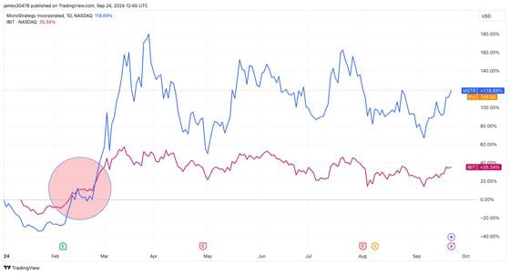 MSTR vs IBIT YTD: (Source: TradingView)