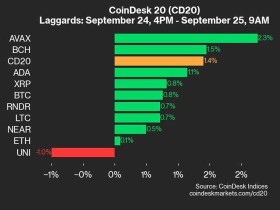 9am CoinDesk 20 Update for 2024-09-25: Laggards