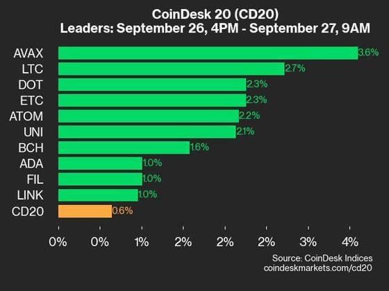 2024-09-27上午9点CoinDesk 20更新：领先者