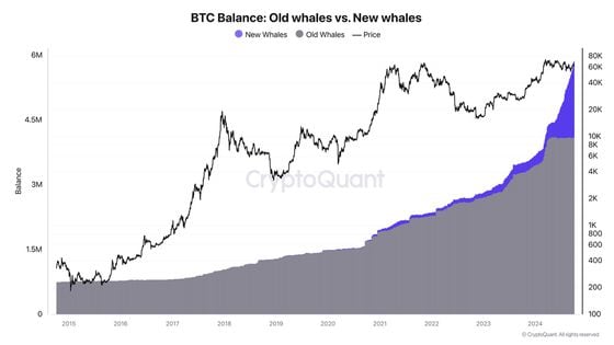 COD FMA, Oct. 3 2024 (CryptoQuant)