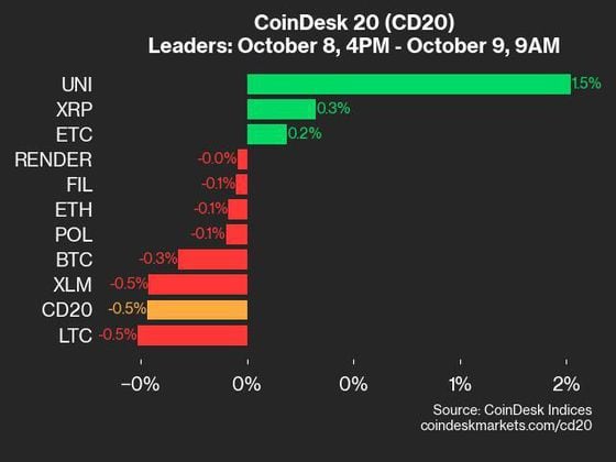 2024-10-09 9am CoinDesk 20 更新：领先者