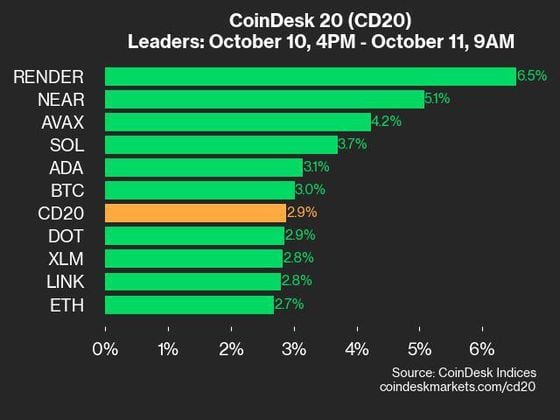 2024-10-11 9am CoinDesk 20 更新：领先者