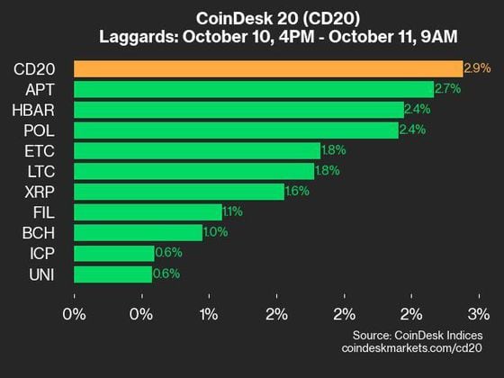 2024-10-11 9am CoinDesk 20 更新：滞后者