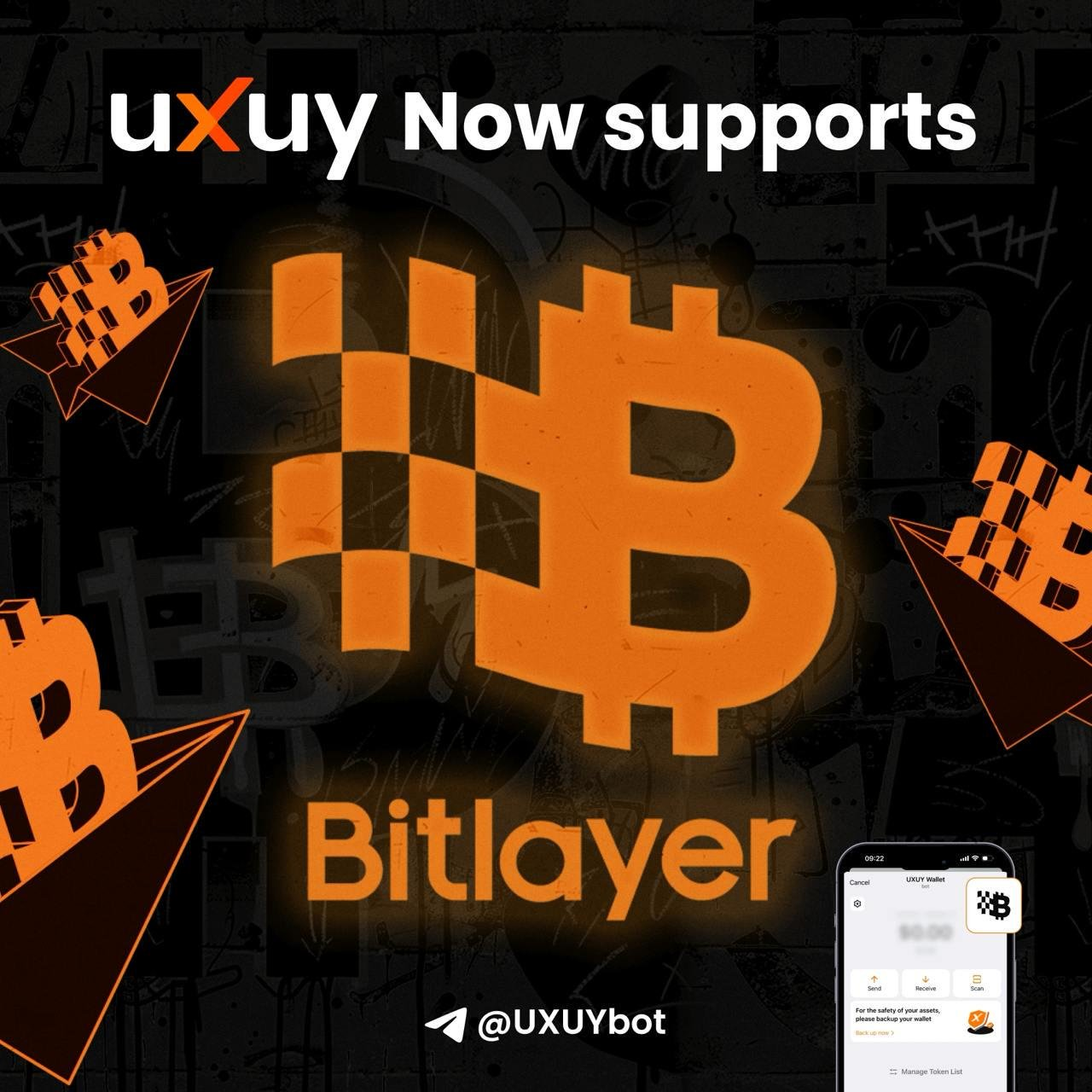 Five projects selected for Bitlayer's first Developer Accelerator Program, RollDex received the highest incentive of $1 million in Grants