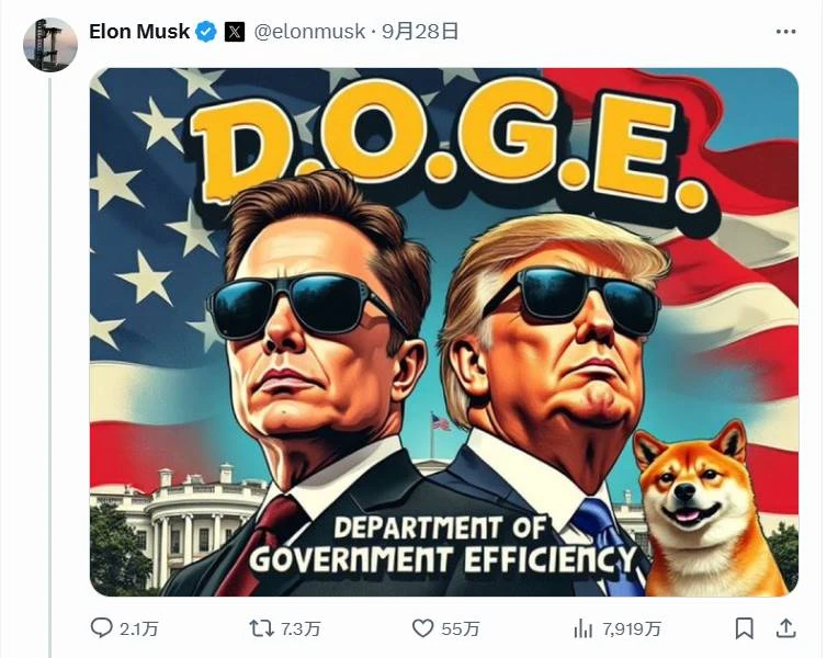 A tweet stirring a market value of millions, what is the D.O.G.E that Musk has repeatedly "called out"?