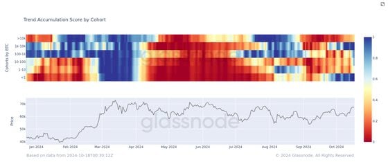 按群体划分的趋势积累得分 (Glassnode)