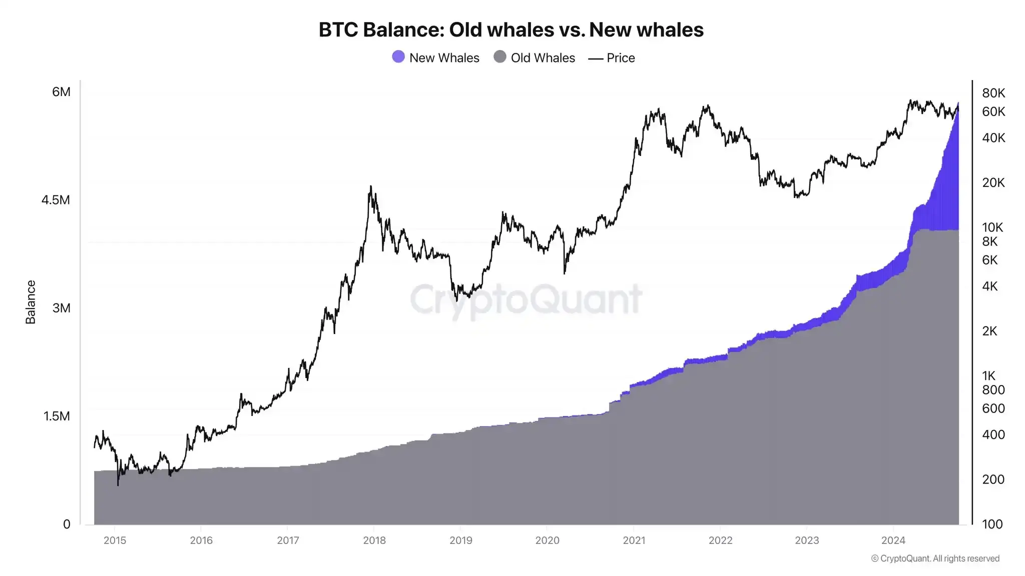 Five Data Points Interpreting the Current Market: Is the Bull Market Ready to Launch?