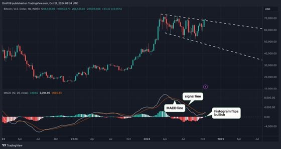 BTC的周K线图与MACD. (TradingView)