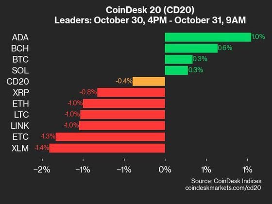 2024-10-31 9am CoinDesk 20 更新：领先者