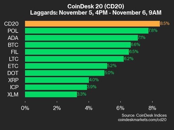 2024-11-06 9am CoinDesk 20 更新：滞后者