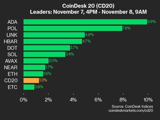 2024-11-08 9am CoinDesk 20 更新：领先者