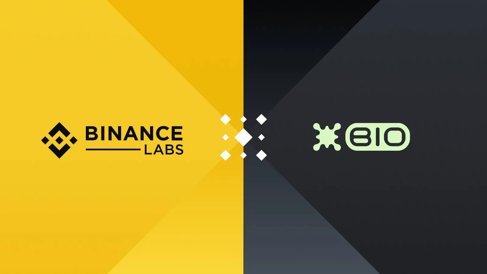 Binance's first DeSci investment, what makes BIO Protocol special?