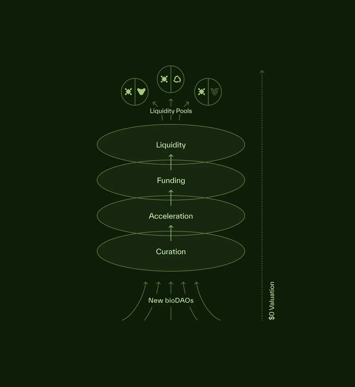 Binance's first DeSci investment, what makes BIO Protocol special?