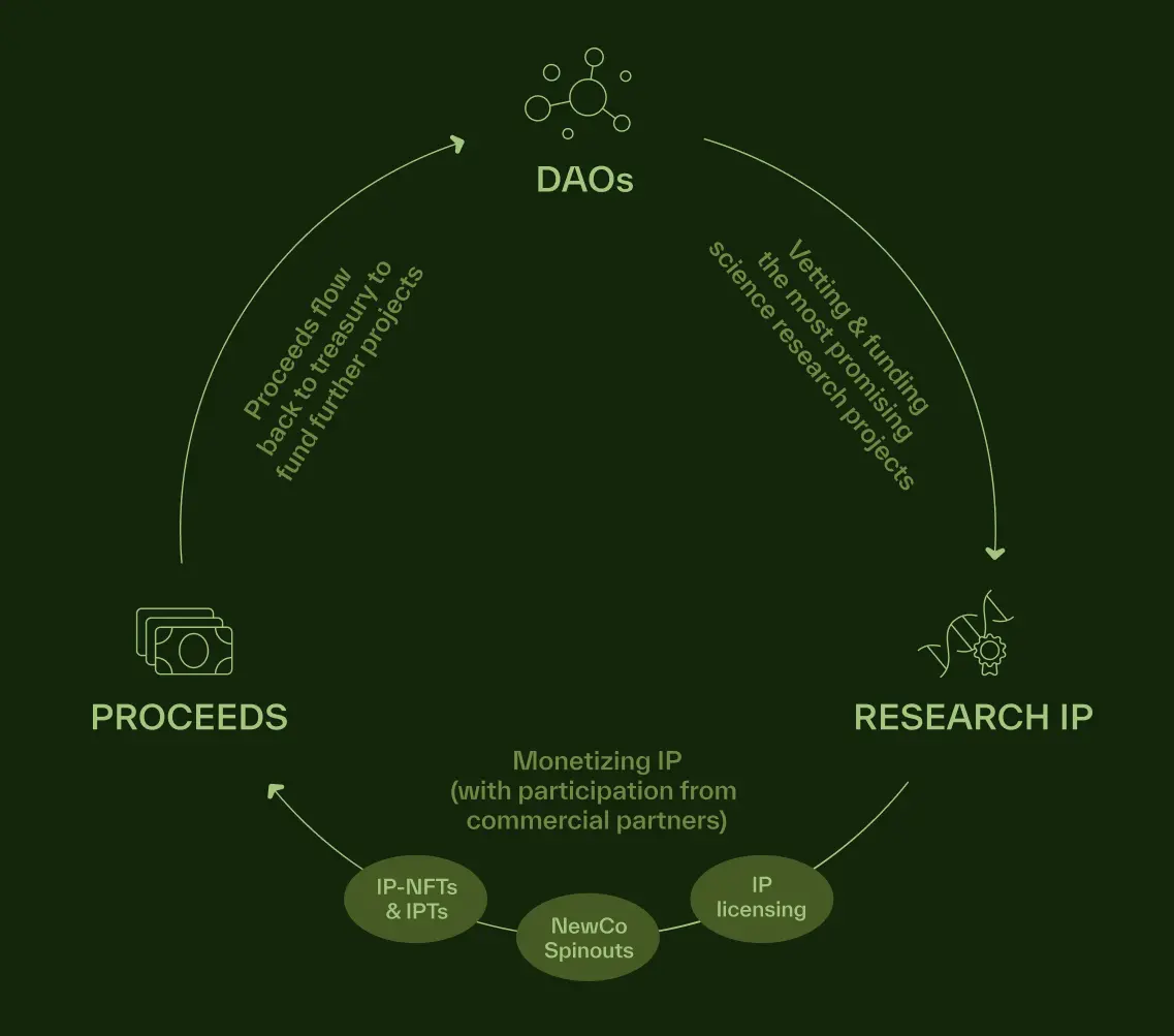 Binance's first DeSci investment, what makes BIO Protocol special?