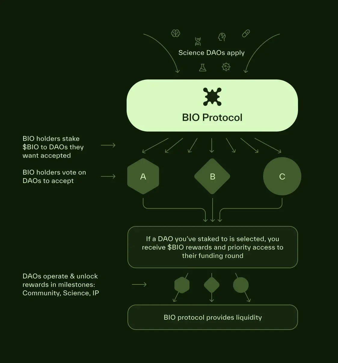 Binance's first DeSci investment, what makes BIO Protocol special?