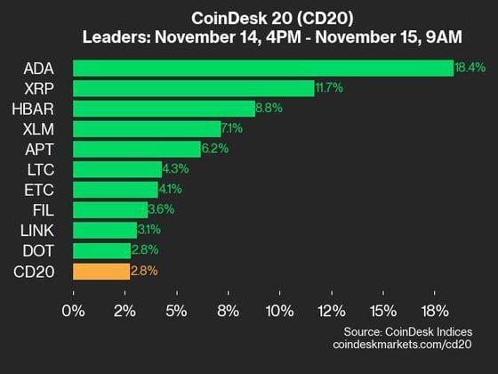 2024-11-15 9am CoinDesk 20 更新：领先者