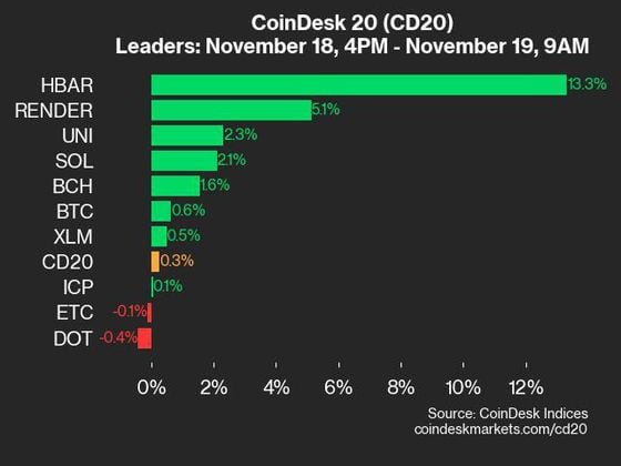 2024-11-19 9am CoinDesk 20 更新：领先者