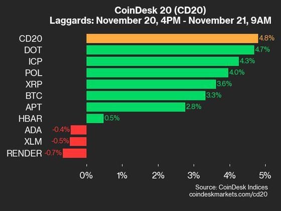 2024-11-21 9am CoinDesk 20 更新：滞后者