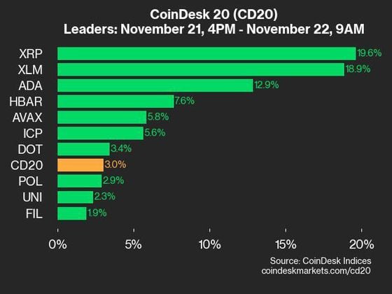 2024-11-22 9am CoinDesk 20 更新：领先者