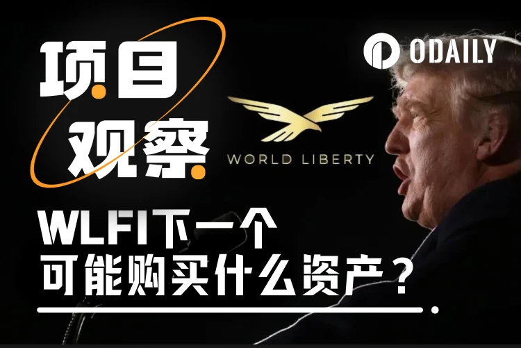 ​特朗普家族项目WLFI接下来可能买入哪些资产？