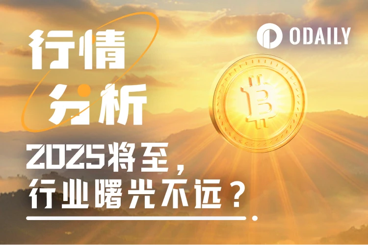 BTC震荡调整，2025年行业曙光能否照亮前路？_aicoin_图1