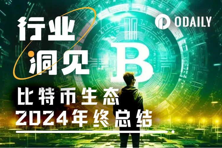 2024，我对比特币生态感到“遗憾”