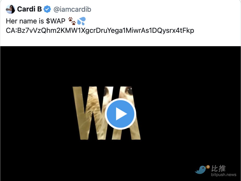 Review of 2024 Celebrity Meme Coins: A Collective "Flop" Show?