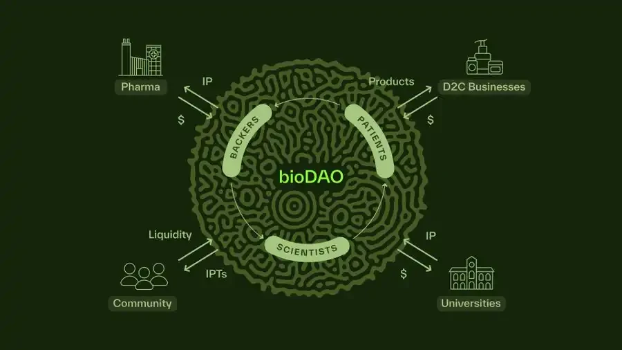 BIO创始人新文：从科学小说到科学金融，Desci如何驱动生物科技革命？