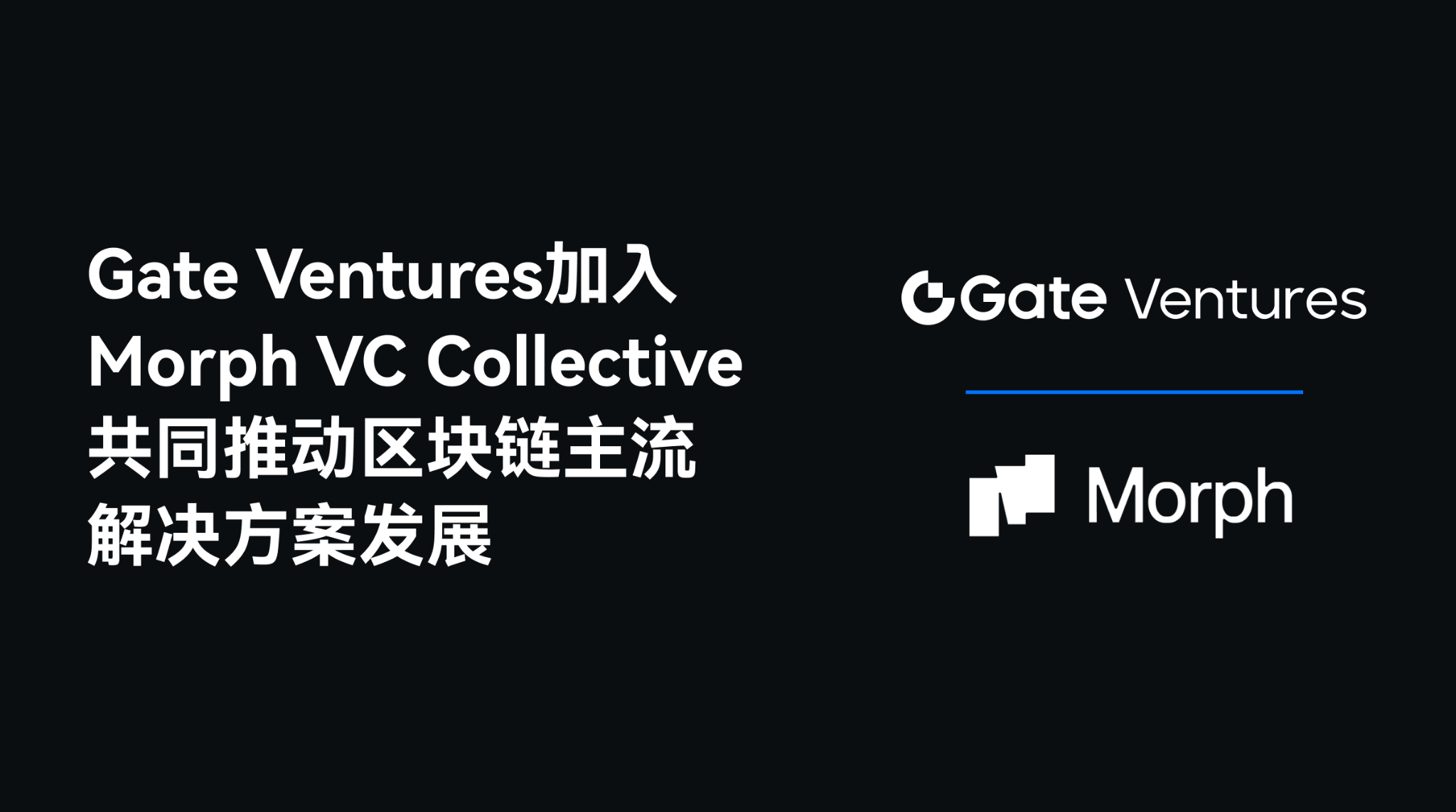 Gate Ventures加入Morph VC Collective，共同推动区块链主流解决方案发展