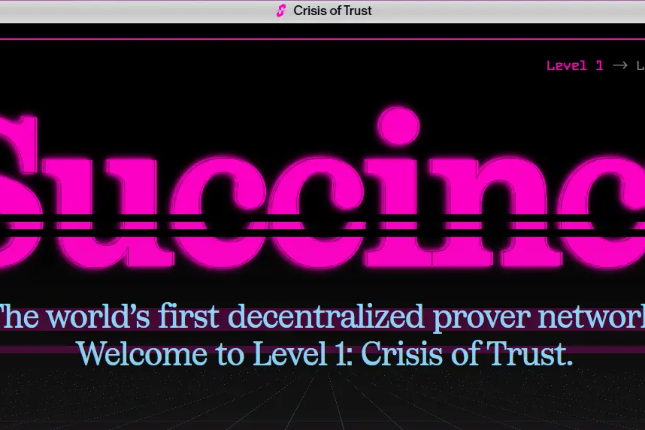 Succinct, which raised 55 million in funding: Building a decentralized ...