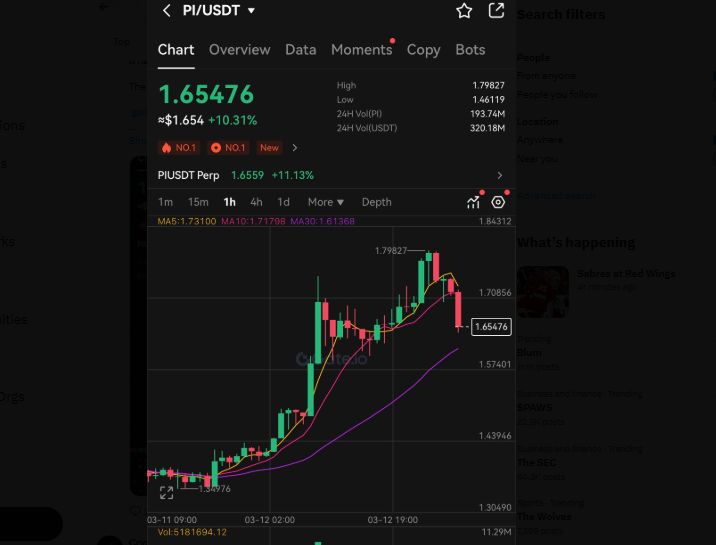 Pi Coin Price Today