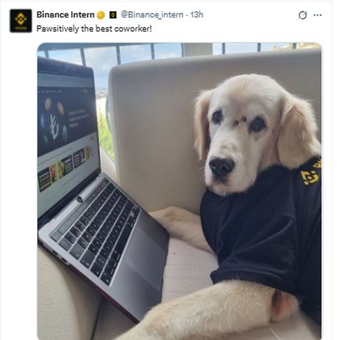 PAWS Binance Listing