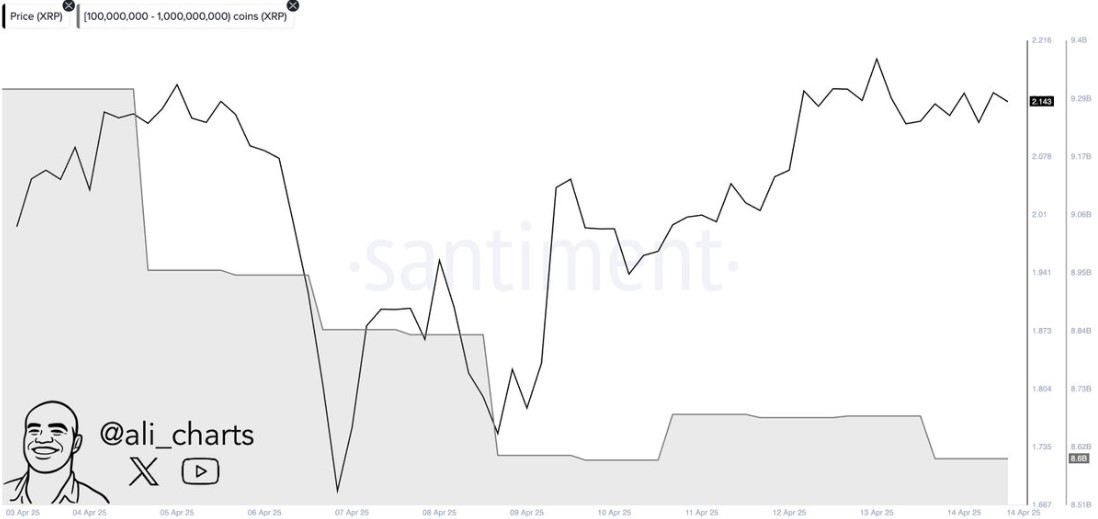 XRP 鲸鱼抛售