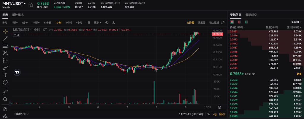 In-depth Analysis of Mantle and Its Native Token MNT