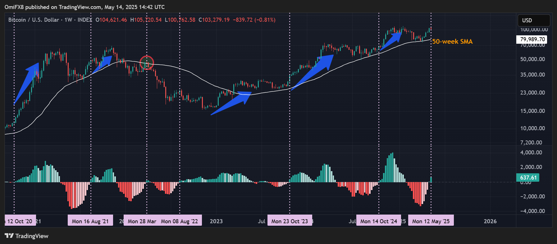 BTC的周线图与MACD直方图。（TradingView/CoinDesk）