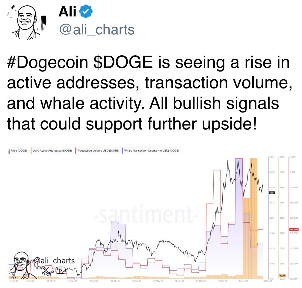 DOGE的活跃地址、交易量和鲸鱼活动正在上升。所有这些都是可能支持进一步上涨的看涨信号！