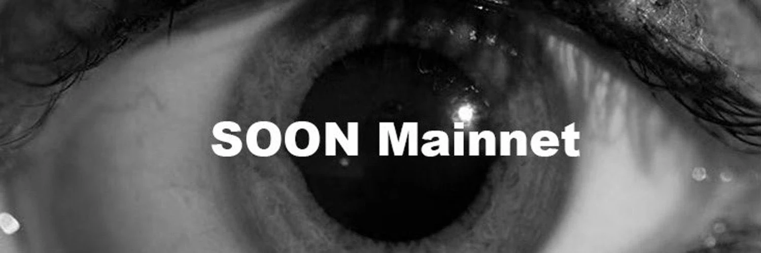 币安Alpha上线在即,SVM赛道代表SOON的合理估值是?