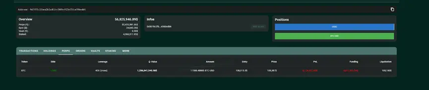 Contract Whale James Wynn: From Slums to Crypto Big Player, a $1.2 Billion Crazy Bet