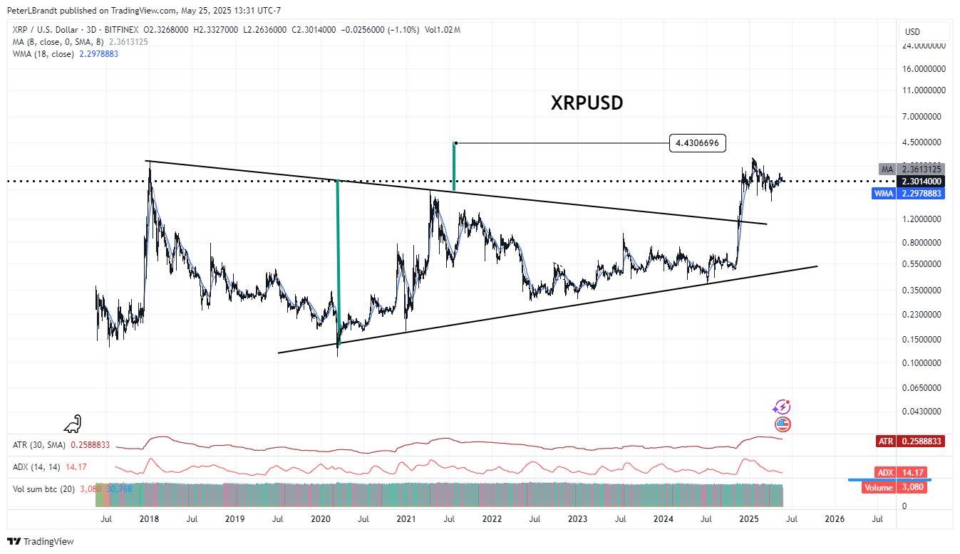 彼得·布兰特以大胆的$100K交易情景点燃XRP或SOL的对抗