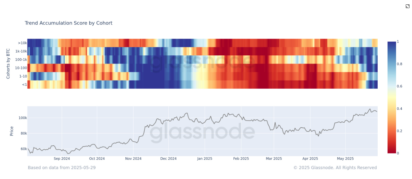 按群体划分的趋势积累评分 (Glassnode)