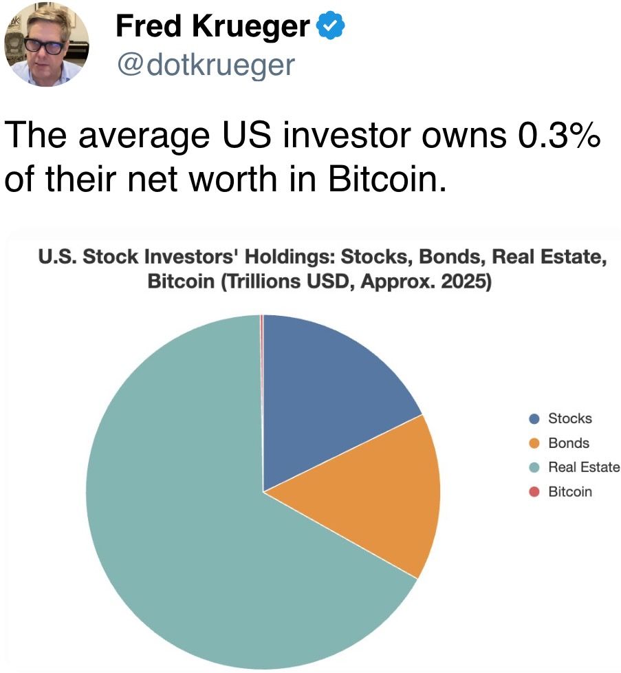 美国普通投资者在比特币中的净资产占比为0.3%。