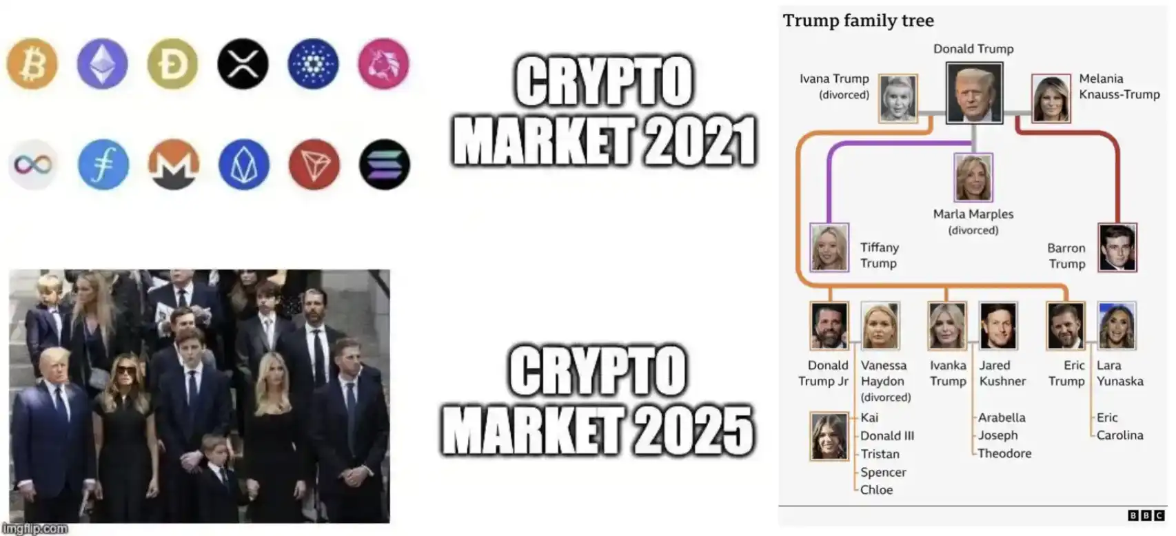 Trump's Backyard is on Fire: Close Ally Musk Turns Against Him, Crypto Company Divides