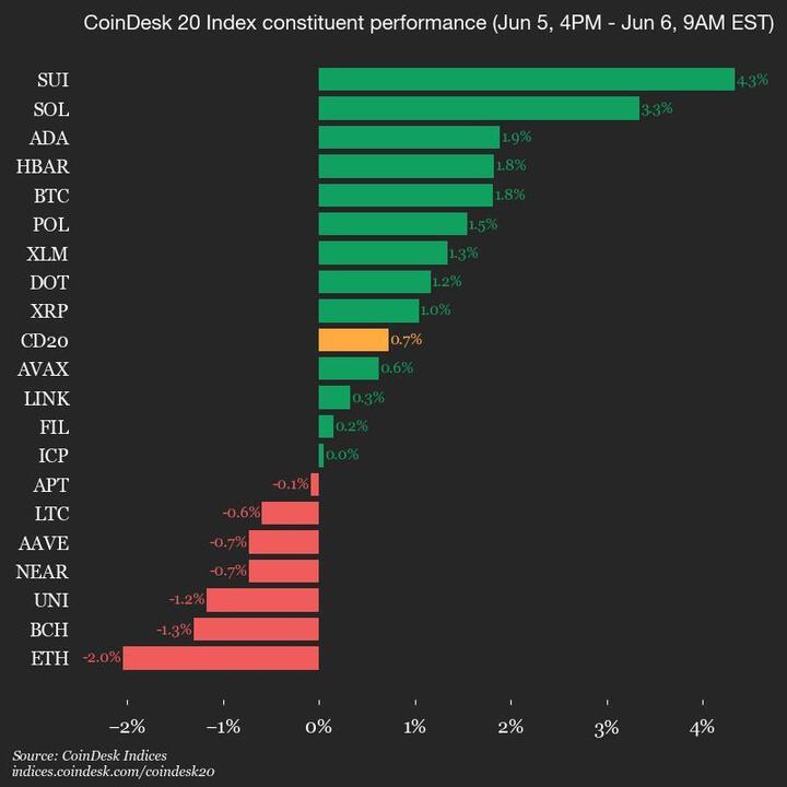 2025-06-06 9am CoinDesk 20 更新：垂直图表