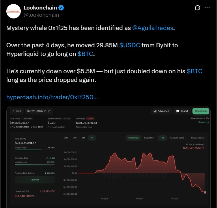 Bitcoin Whale Activity and Liquidation