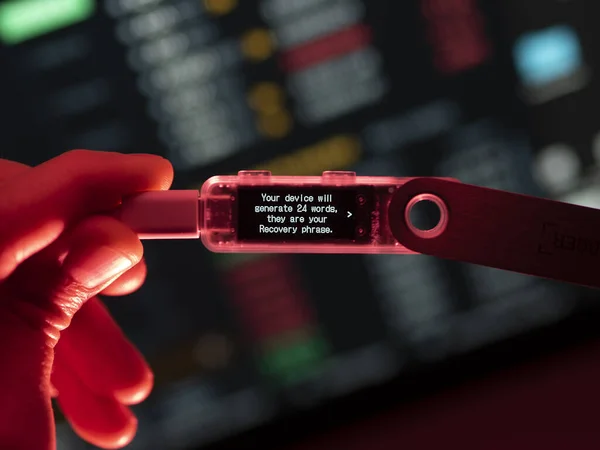 An investor uses a recovery phrase to secure her password on a hardware key wallet Ledger, using her own key to secure her password on the ledger wallet — Stock photo