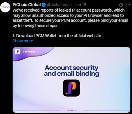 Picoin global password leak tweet