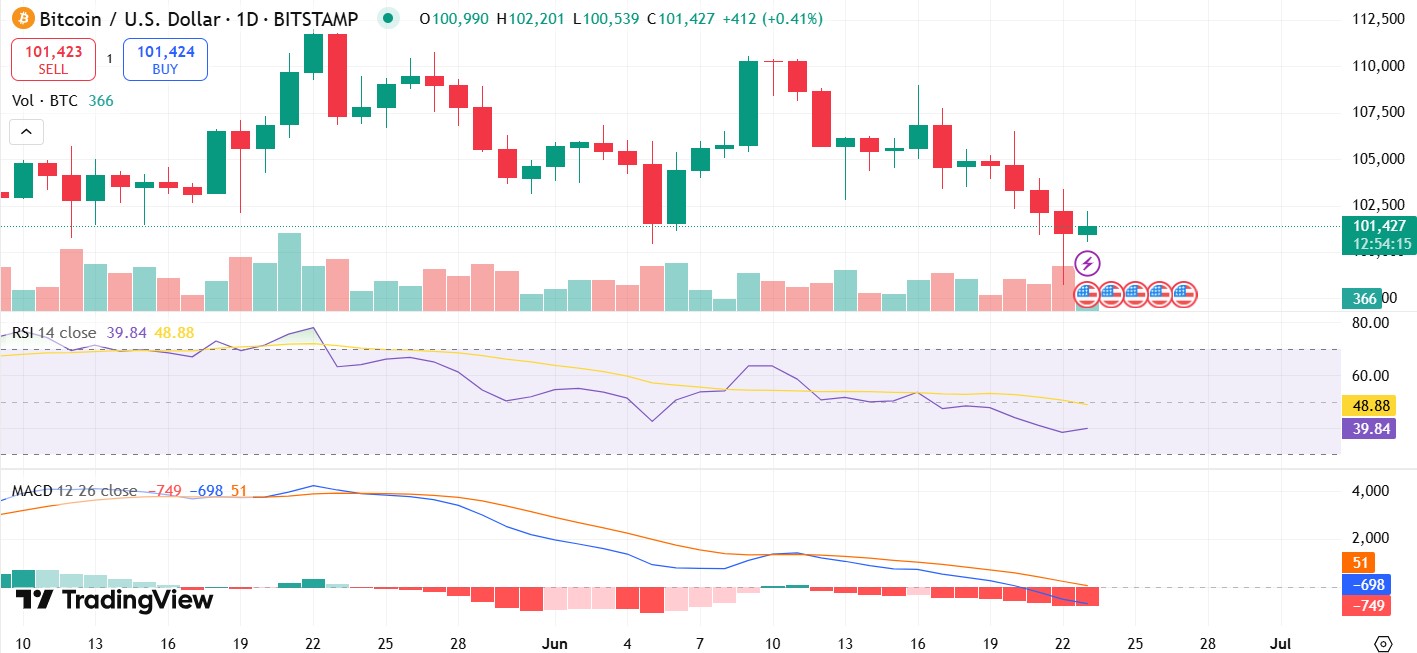 Bitcoin Price Crash